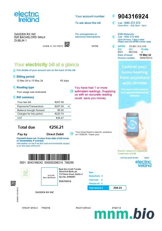 Ireland Electric Ireland rachunek za usługi komunalne szablon w formatach Word i PDF